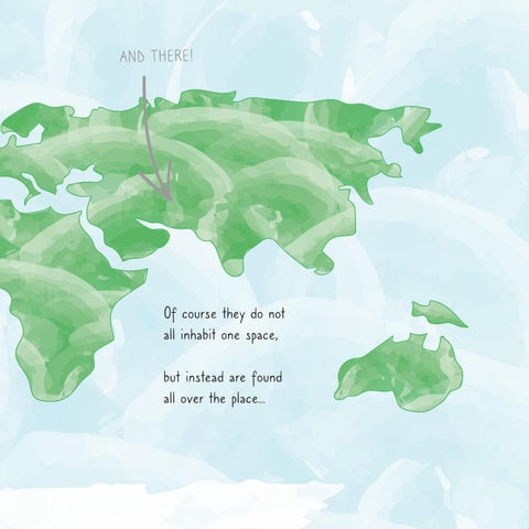 Where Do Bears Live? 第 7 页