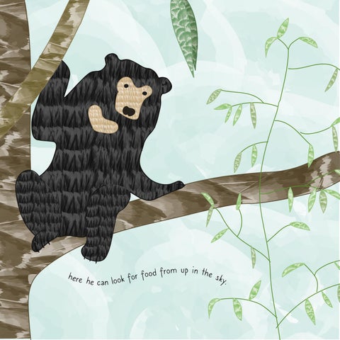 Where Do Bears Live? 第 9 页