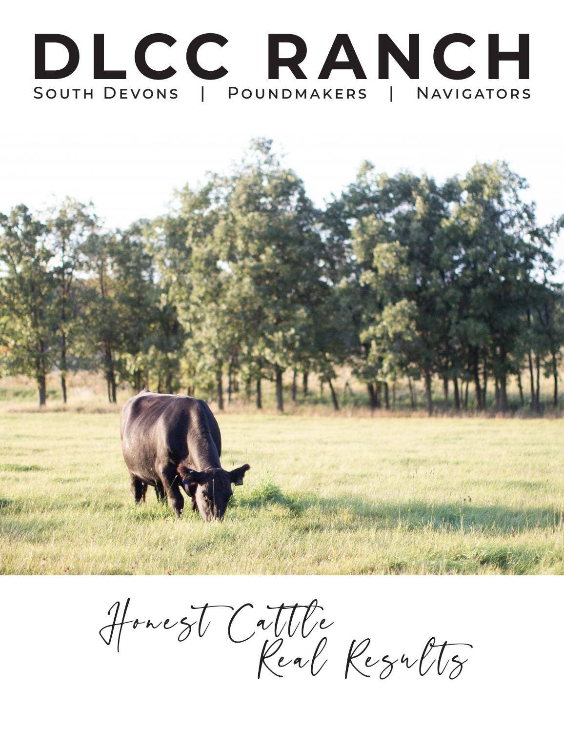 Dlcc Ranch DLCC Ranch - 2021 Spring Sale Catalog by LivestockDirect - Issuu