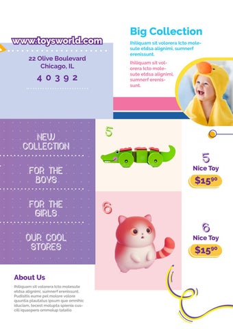 Toys Sale Promotion 家具目录 第 3 页