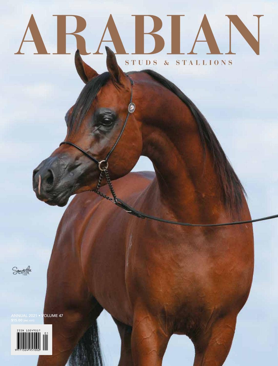 Stylysh Charms Arabian Stallion Horse Photo Italian 9mm Link HO058 Fits Tra : STYLYSH CHARMS Black Stallion Horse Hand Drawn Photo