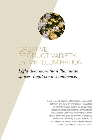 MK_Illumination_Ireland MK Illumination 灯饰目录 2019-2022 第 4 页