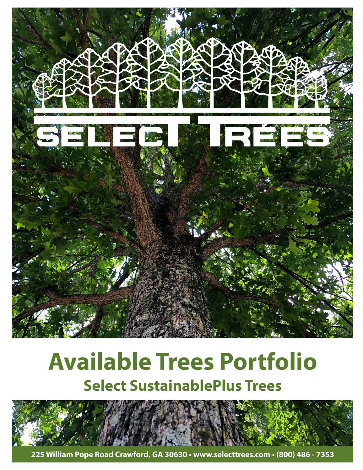 Select Trees Availability Portfolio by Select Trees Issuu