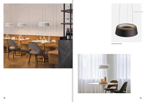 Brink Licht 灯饰目录 · Hollands Licht 第 21 页