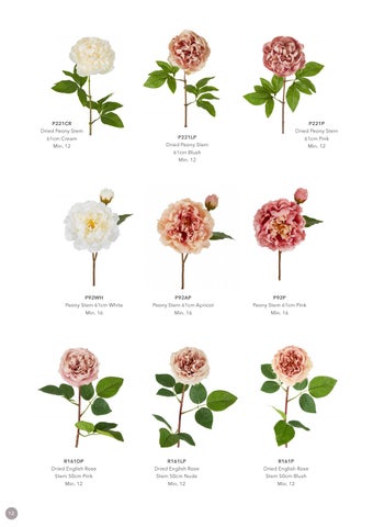 FlorabelleLiving Florabelle New Season 灯饰目录 2021 第 12 页