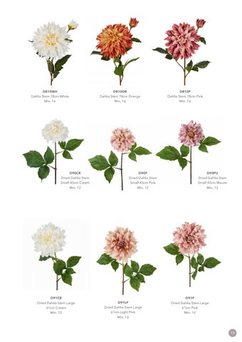 FlorabelleLiving Florabelle New Season 灯饰目录 2021 第 13 页