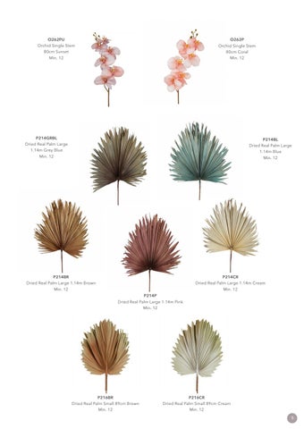 FlorabelleLiving Florabelle New Season 灯饰目录 2021 第 5 页