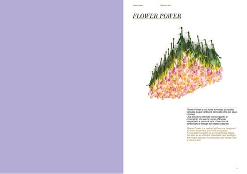 VG Flower Power 第 2 页