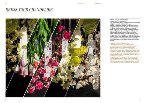 VG Flower Power 第 5 页