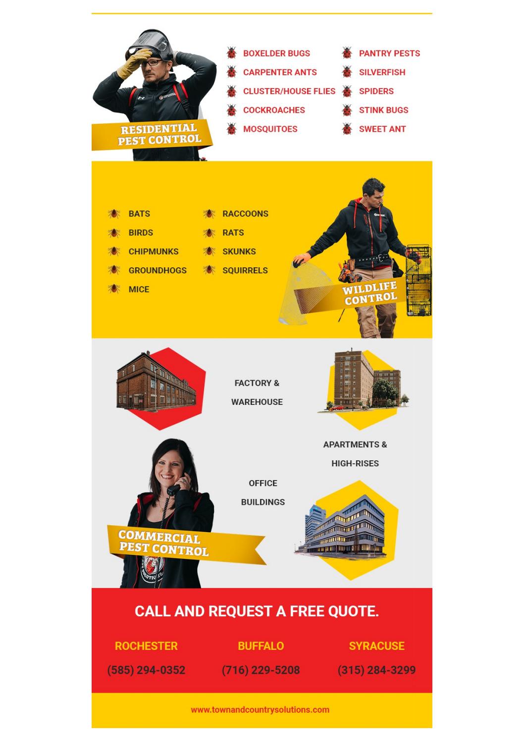 Buffalo Pest Control Exterminator buffalo ny by infographicses Issuu