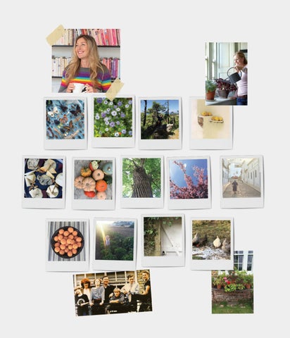 Portmeirion Group USA 灯饰目录 · Sophie Conran for Portmeirion: Arbor × Floret 第 3 页