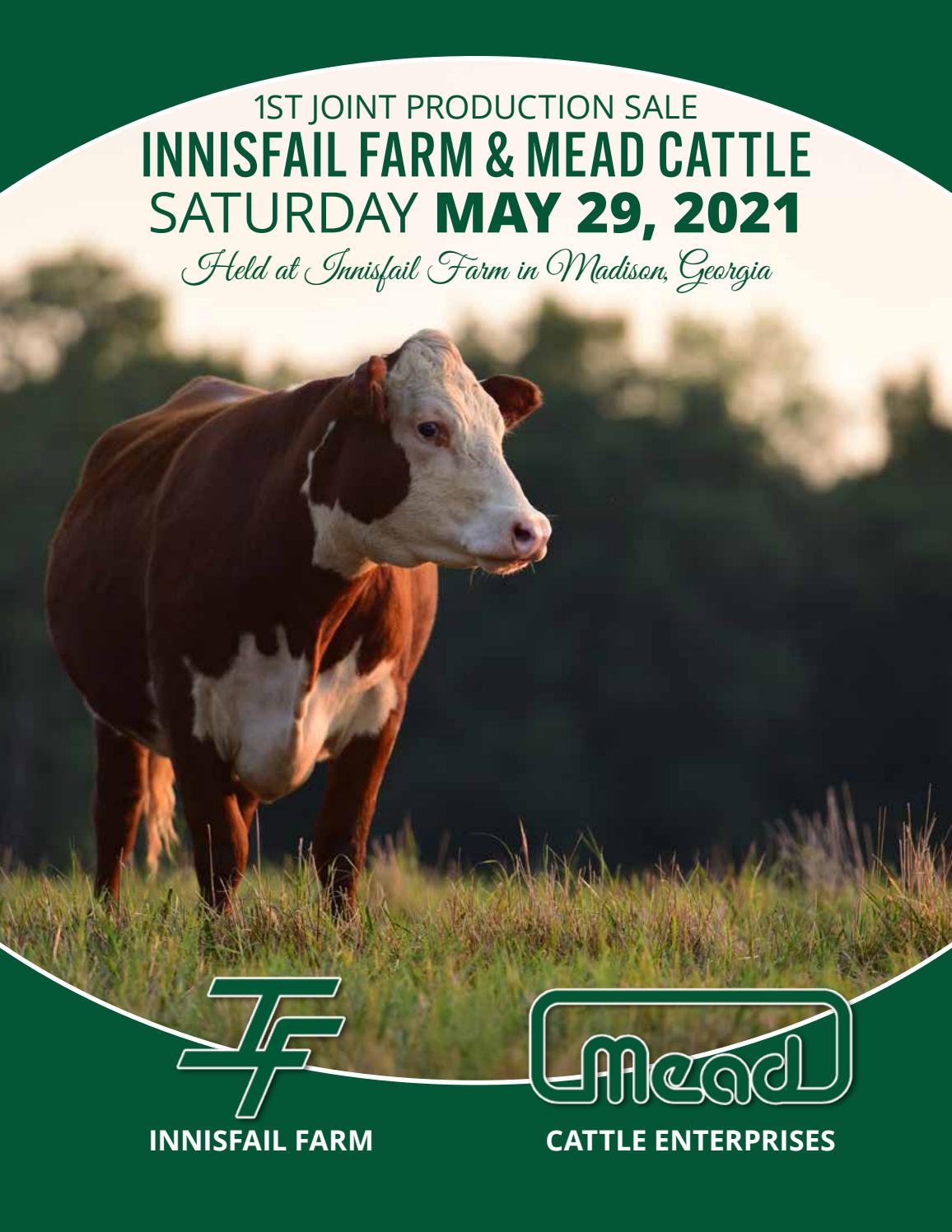 Innisfail Farm and Mead Cattle 1st Joint Production Sale by American Hereford Association and