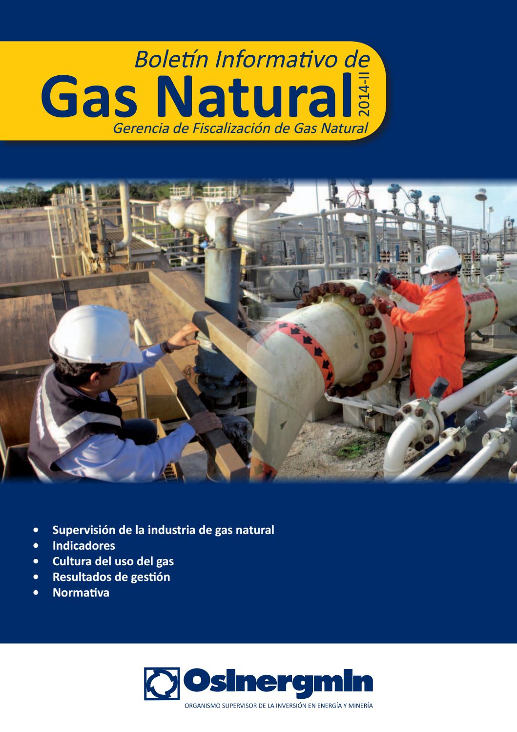 Boletín Semestral de la Gerencia de Fiscalización de Gas Natural 2014 ...