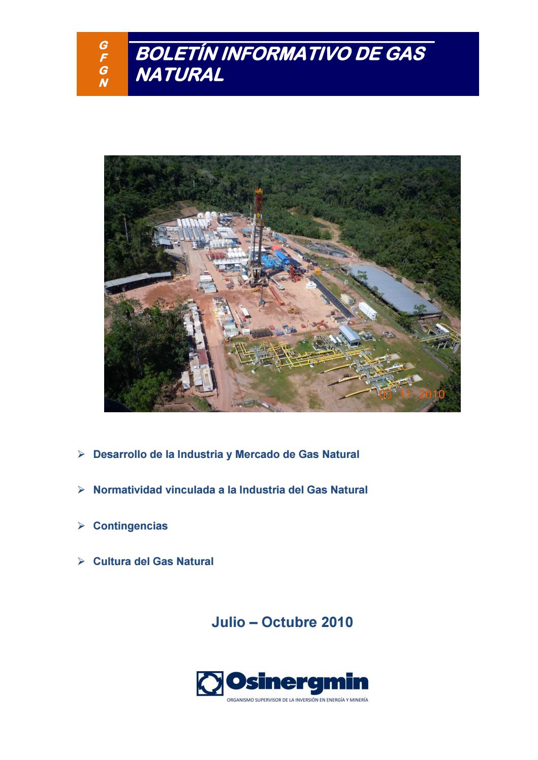 Boletín Semestral De La Gerencia De Fiscalización De Gas Natural 2010