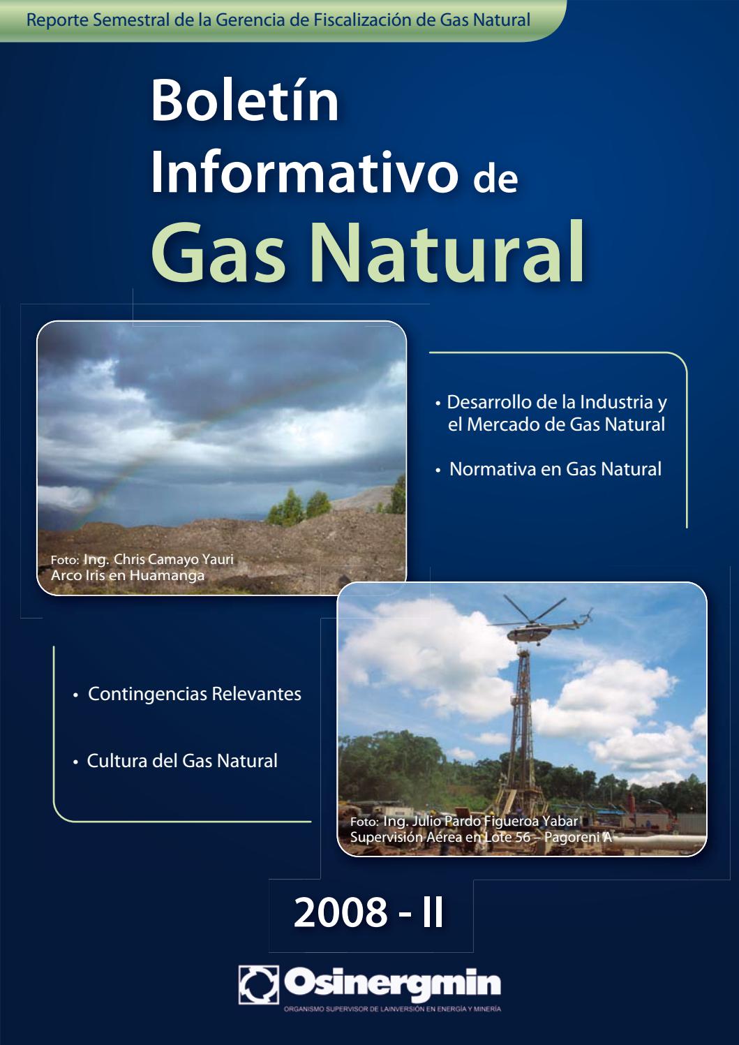 Boletín Semestral De La Gerencia De Fiscalización De Gas Natural 2008