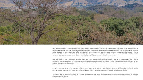 Hacienda Garita 第 4 页
