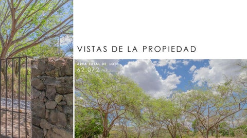 Hacienda Garita 第 7 页