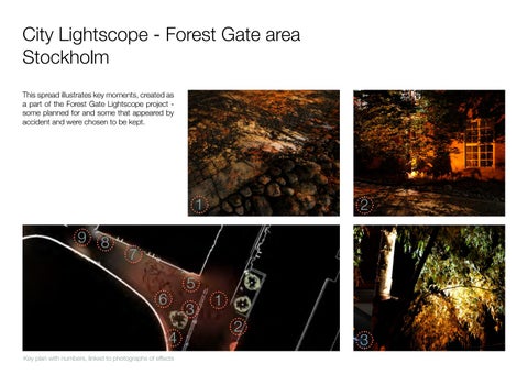 AnastasiaAngeli 灯饰目录 · Anastasia Angeli 灯饰 Design Portfolio 第 8 页