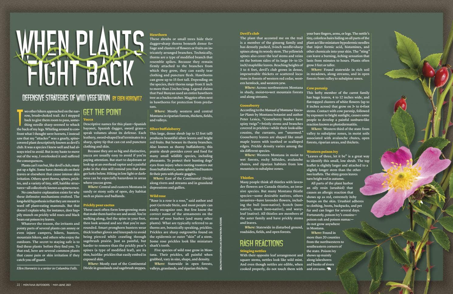 When Plants Fight Back by Montana Outdoors - Issuu