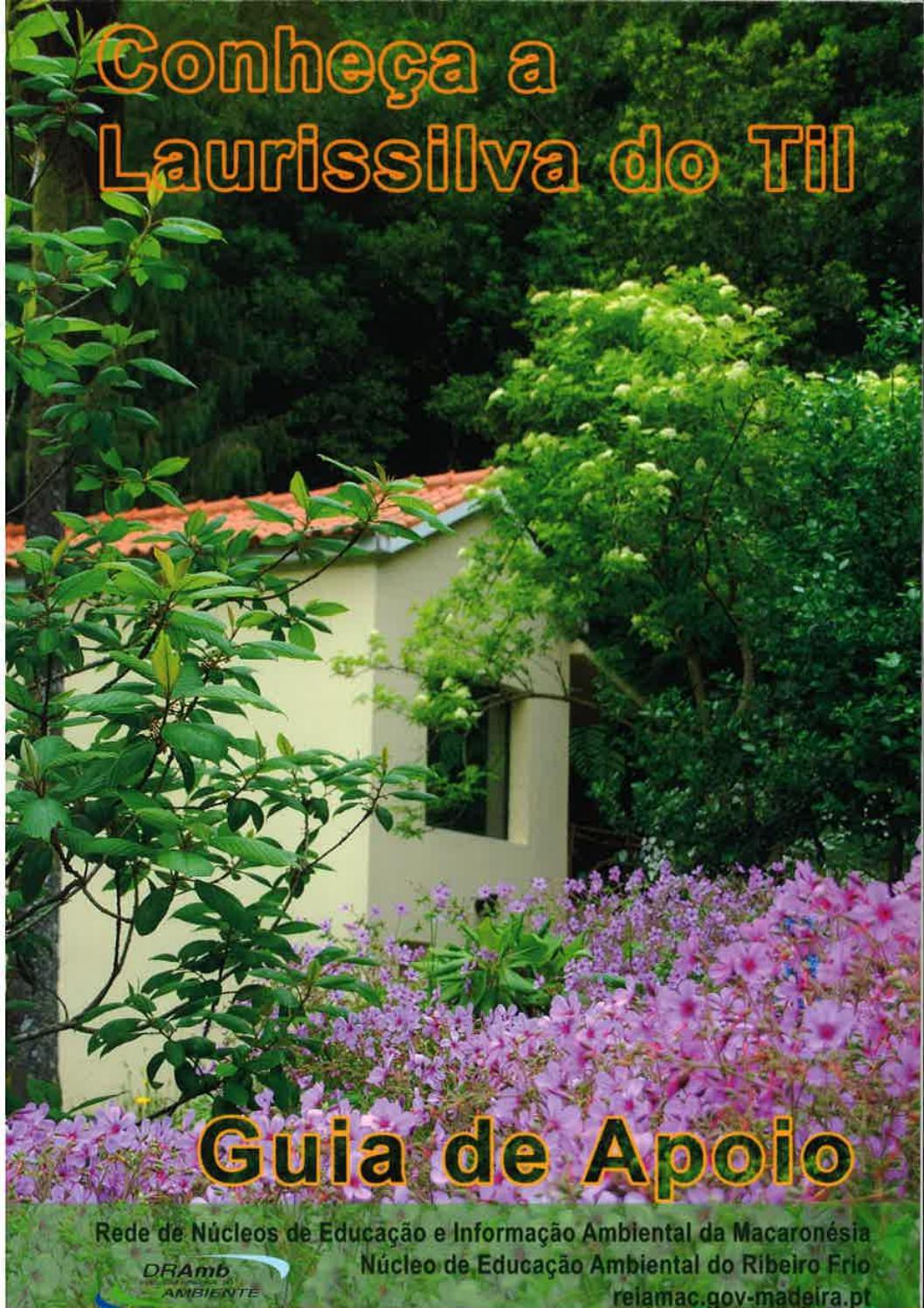 Conheca A Laurissilva Do Til By Instituto Das Florestas E Conservacao Da Natureza Ip Ram Issuu