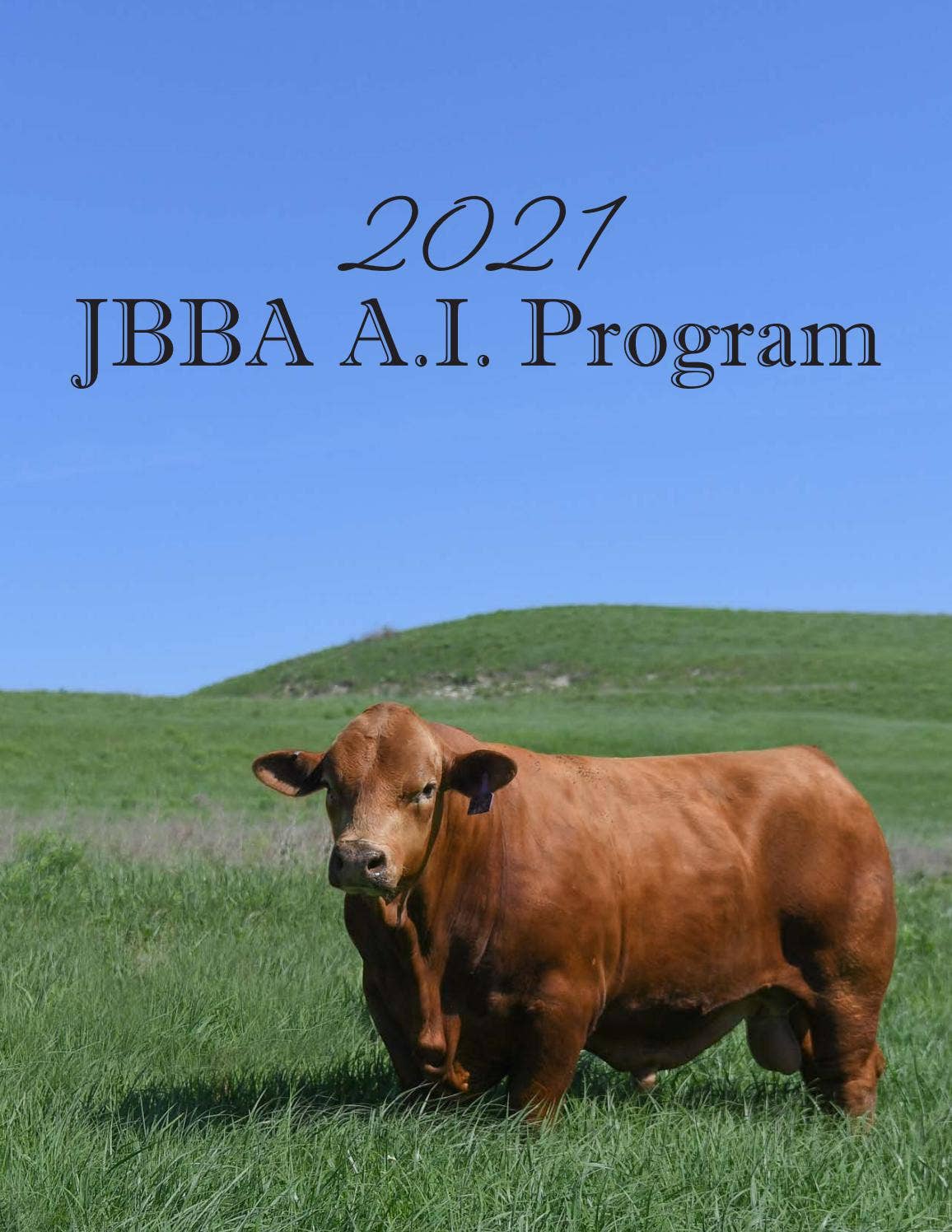 2021 JBBA AI Program by Beefmaster Breeders United - Issuu