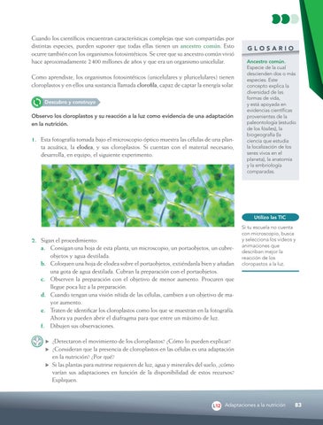 Page 85