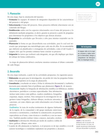 Page 243