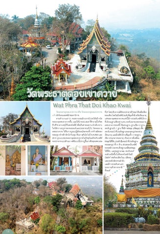 chaingrai 第 16 页