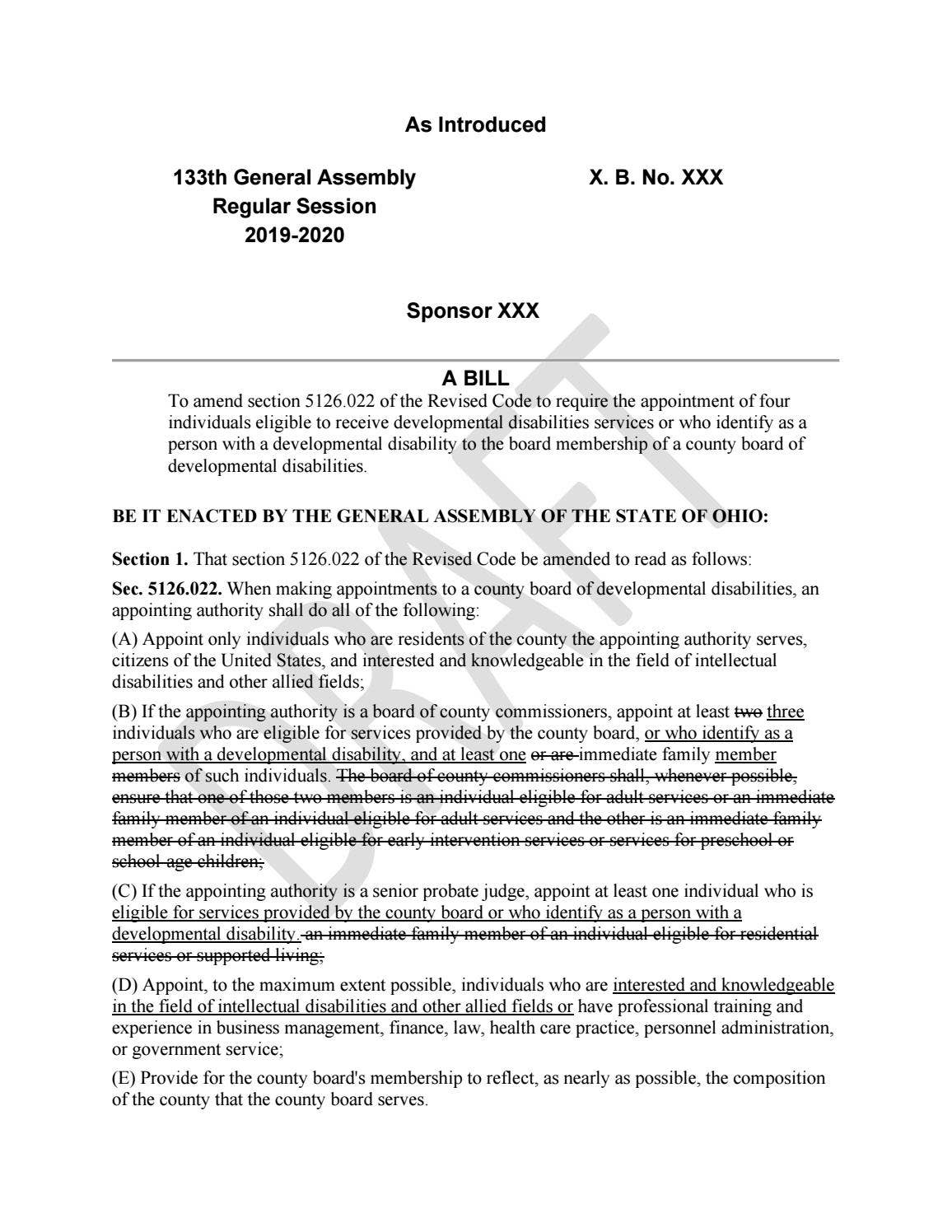 Final Report of the Task Force on Advocacy by Ohio Developmental ...