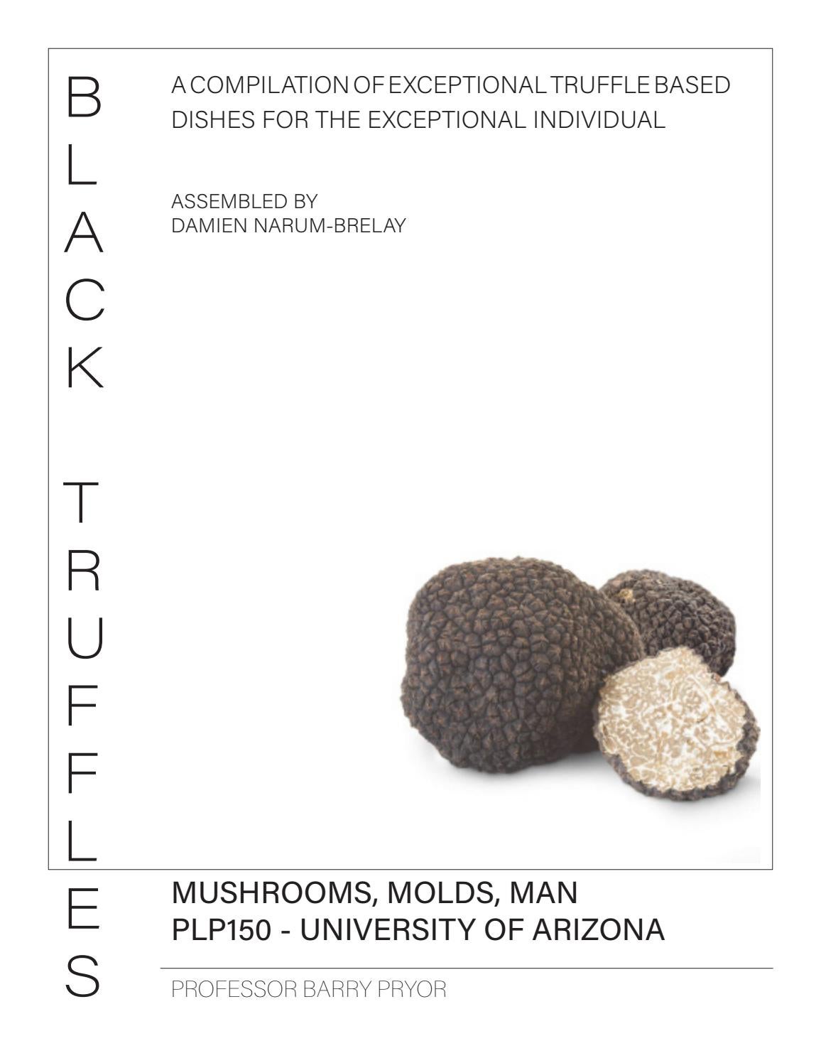 PLP150 Creative Project Truffle Cookbook by Damien Brelay Issuu