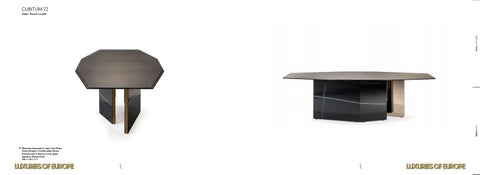 Luxuries of Europe Reflex Disegno 2020 Tables and Chairs 家具目录 第 7 页
