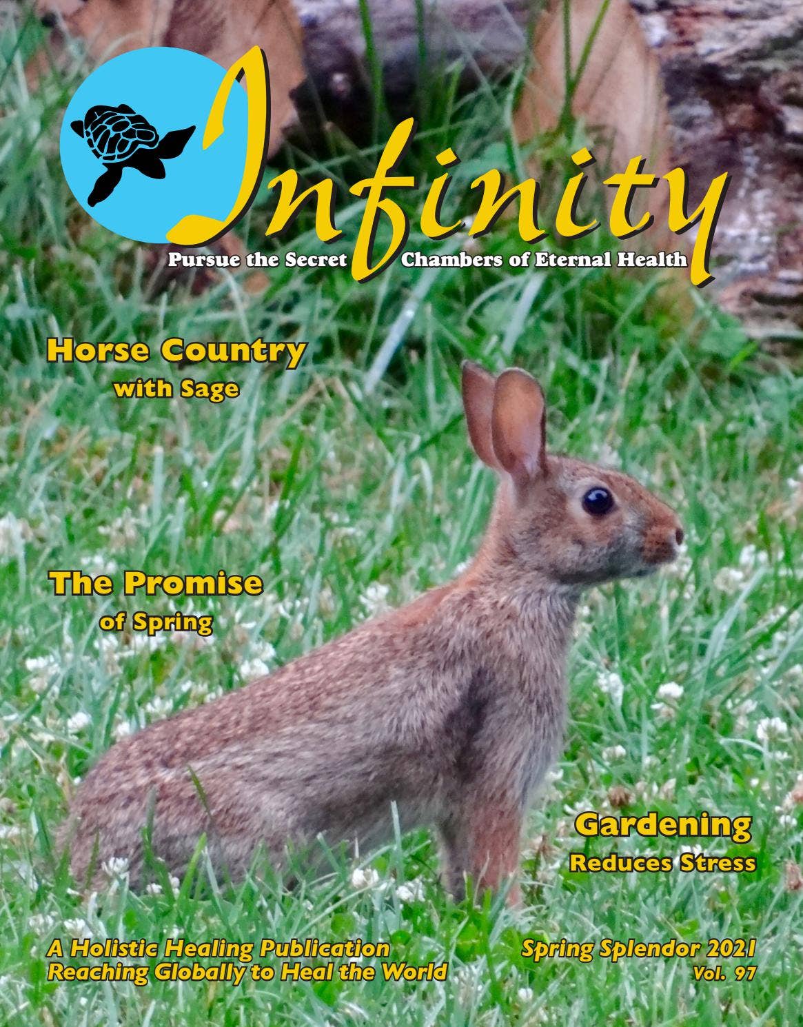 Springtime Splendor Magazine Infinity Spring Splendor 2021 by Infinity Health Magazine - Issuu