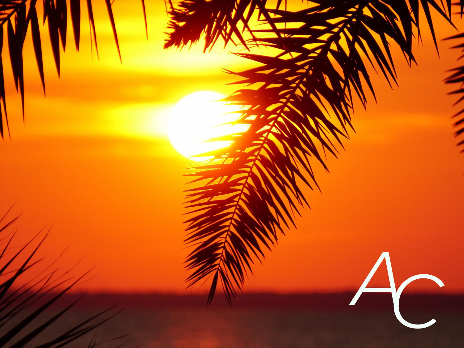 Alec Catanzarite Portfolio by Alec_651 Issuu