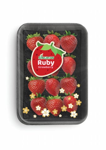 Singrow Strawberry 第 12 页