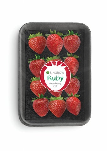 Singrow Strawberry 第 22 页