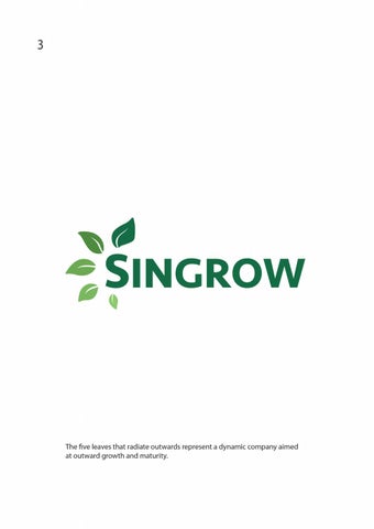 Singrow Strawberry 第 8 页