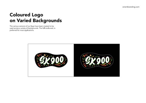 SK900 brand and packaging 第 8 页