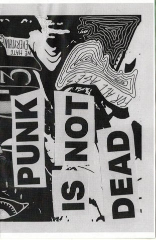 Katie Crotty - An Exploration of Punk 第 3 页
