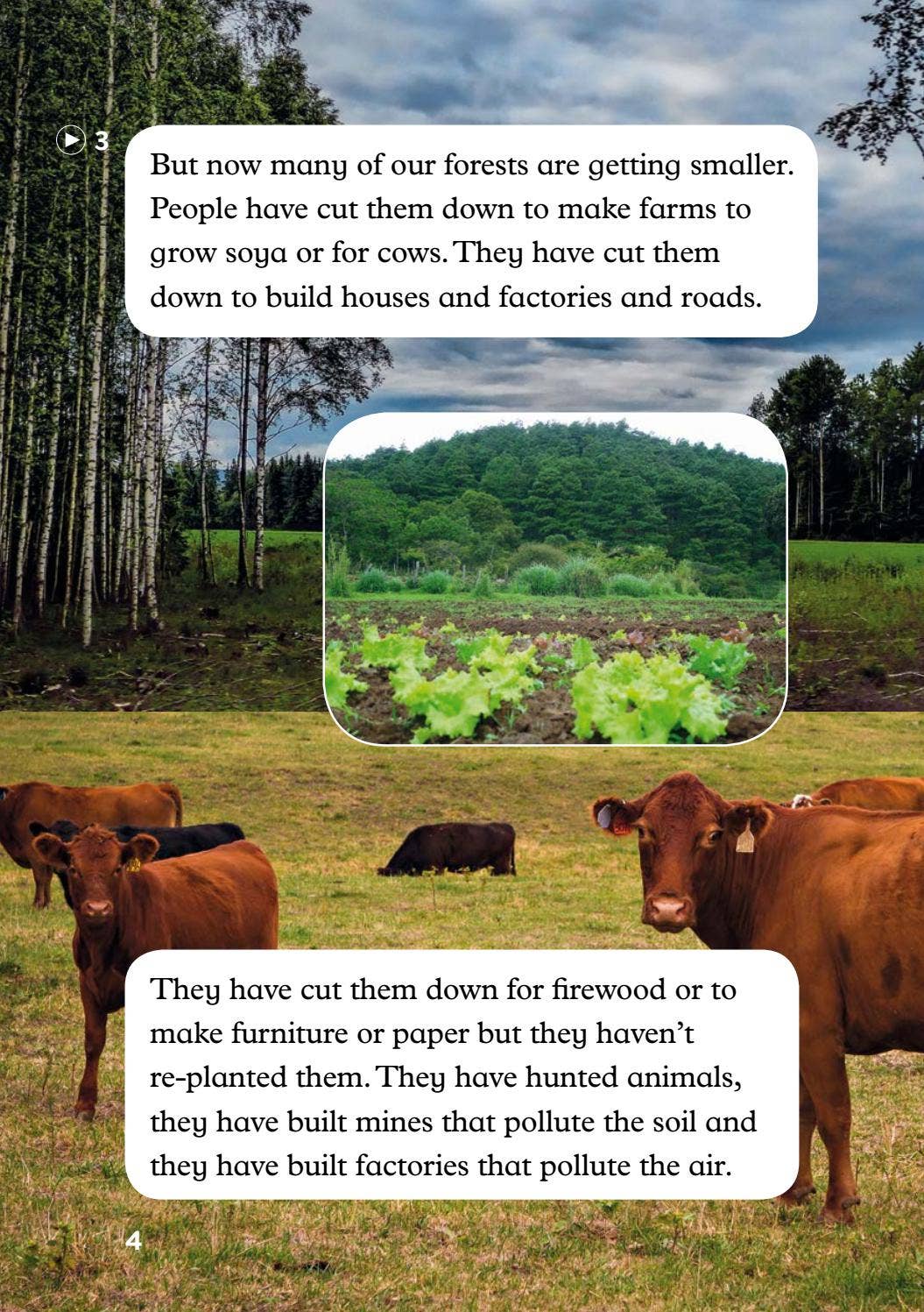 The children of the forest by ELI Publishing - Issuu