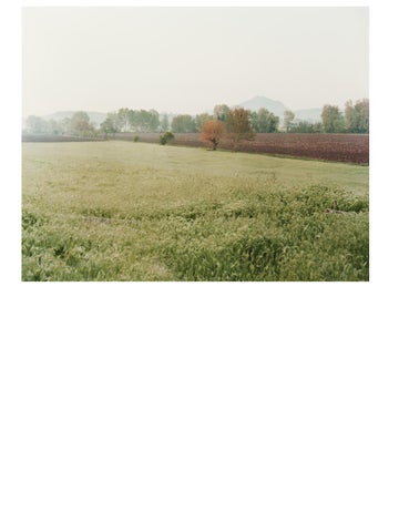Catalogo Fotografico 2021 第 10 页
