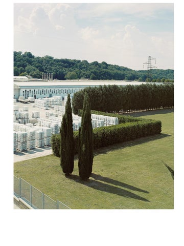 Catalogo Fotografico 2021 第 13 页