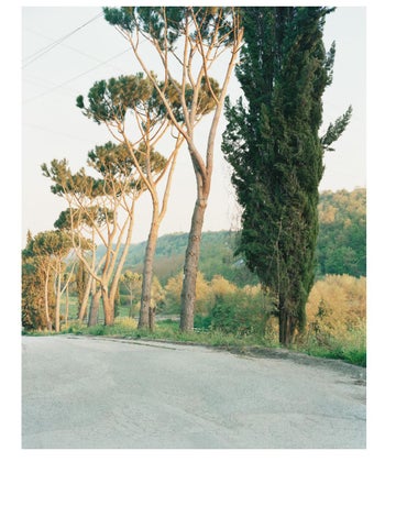 Catalogo Fotografico 2021 第 6 页