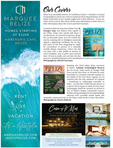 The Belize 金色 册 - Caribbean Culture + Lifestyle 第 8 页