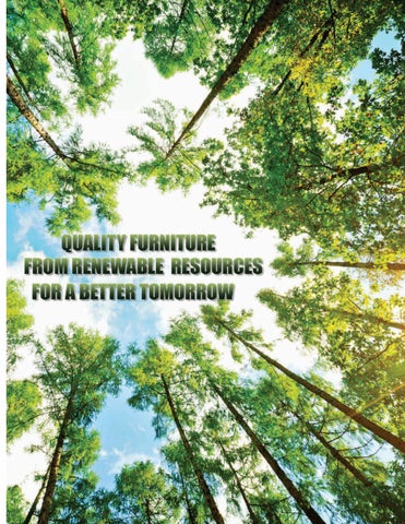 E & G Amish Furniture 家具目录 · Veraluxe 家具 2021 - E&G Amish 家具 第 5 页