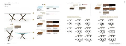 Reflex Luxuries of Europe 技术 册 2020 第 7 页