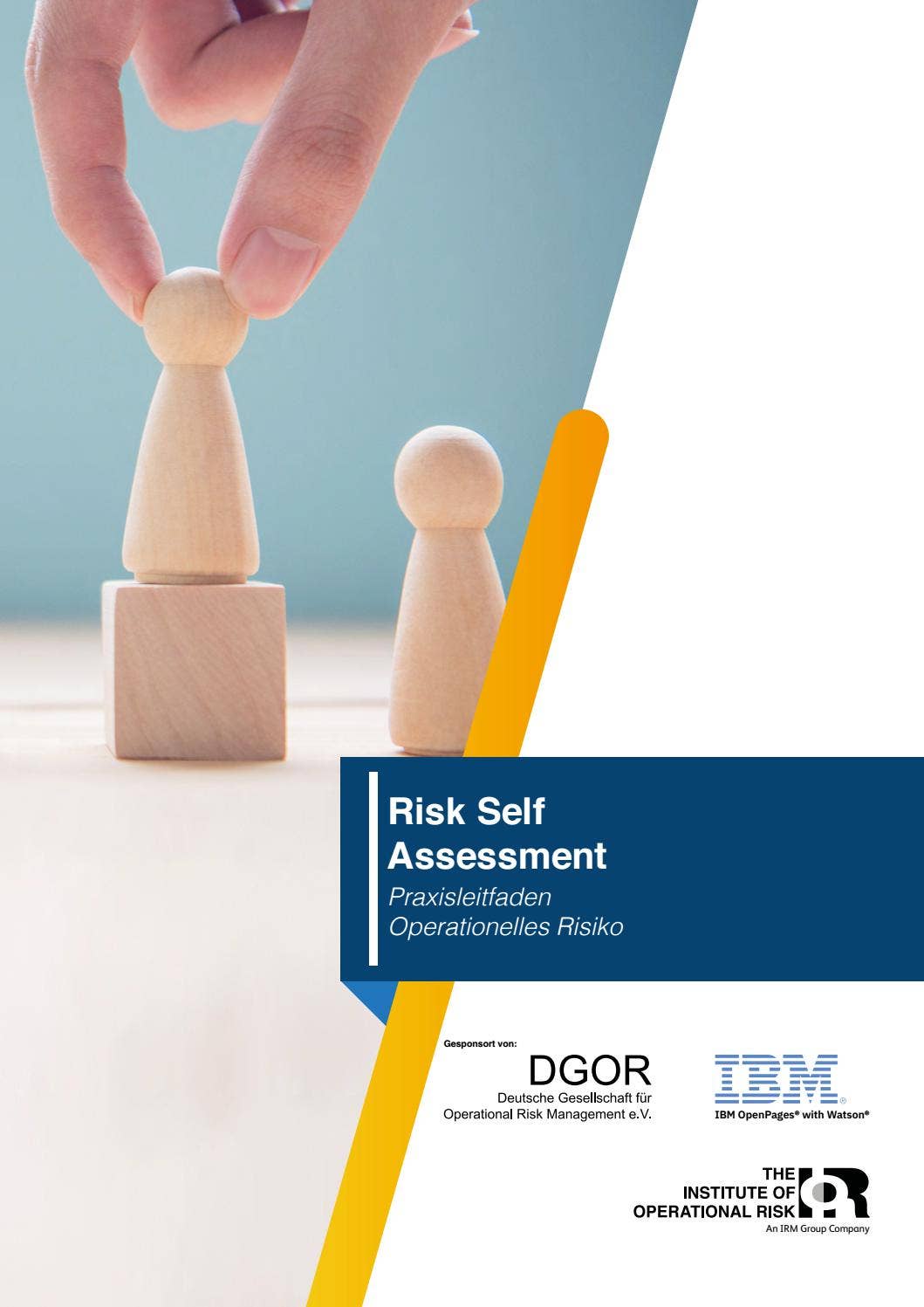 German Risk Assessment Example German - Risk Self Assessment IOR report by Institute of Risk ...