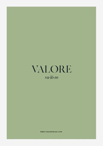 VALORE 灯饰产品集 第 22 页