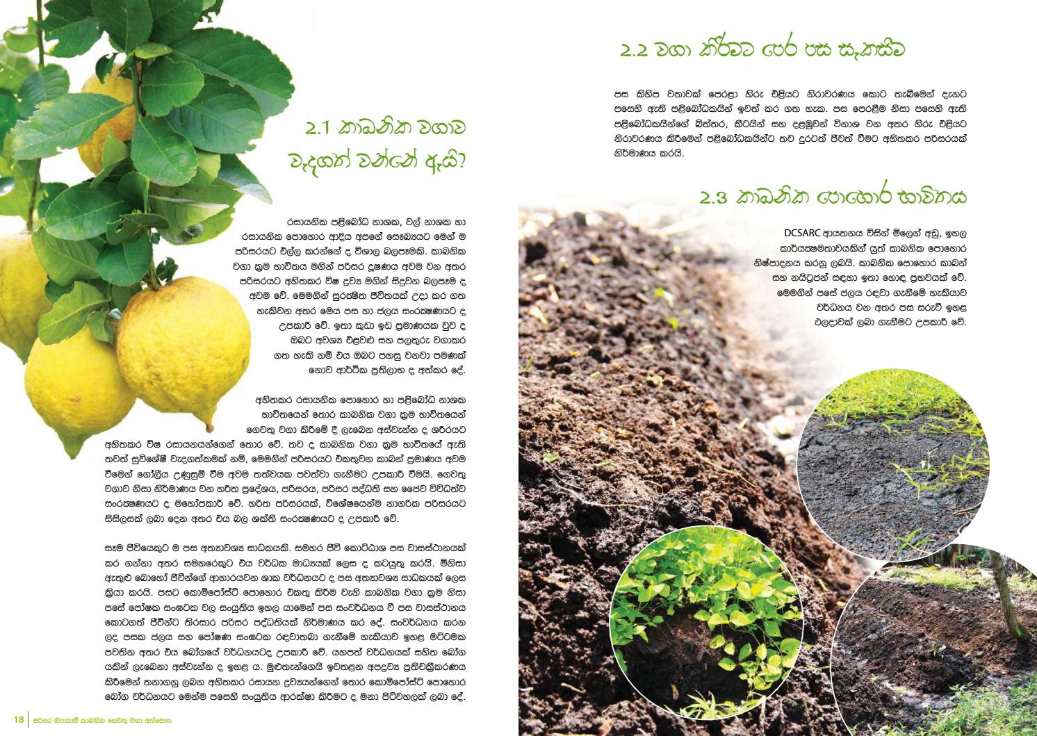 A Guide to EcoFriendly Home Gardening Sinhala