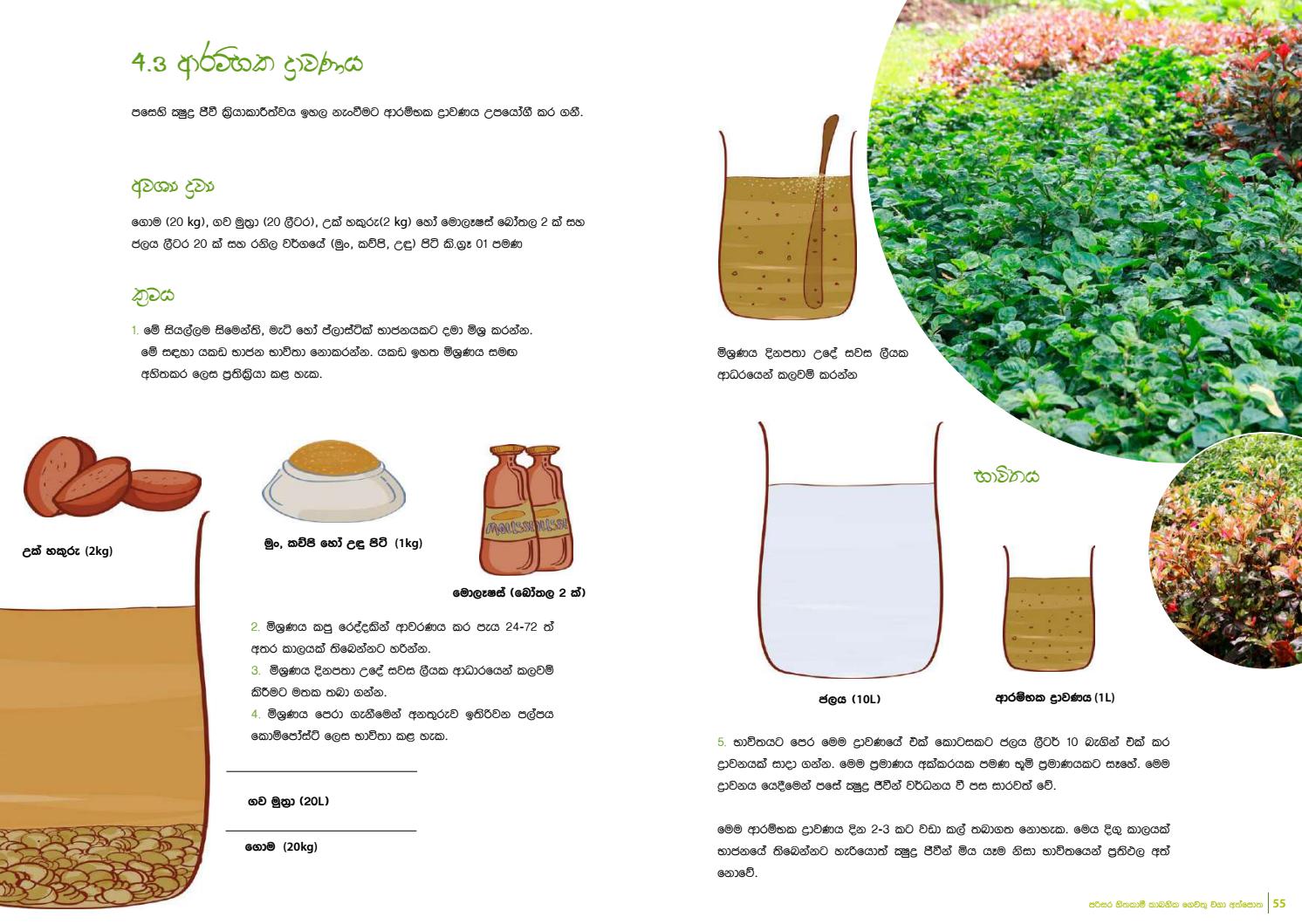 A Guide to EcoFriendly Home Gardening Sinhala