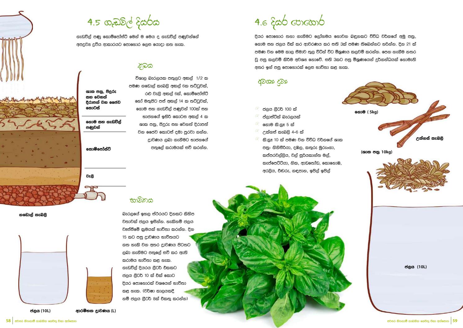 A Guide to EcoFriendly Home Gardening Sinhala